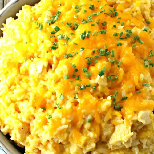 Slow Cooker Cheesy Chicken and Rice Recipe