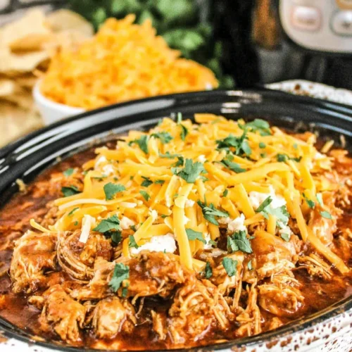 Chicken Enchilada Crock Pot Meal